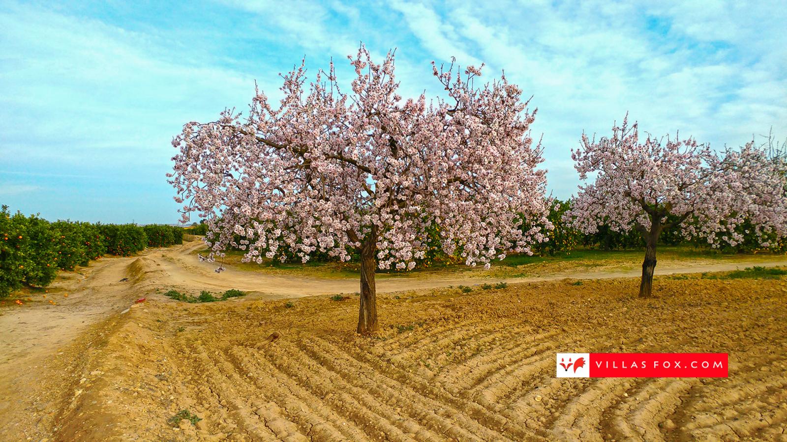 Apartamento en Venta en San Miguel de Salinas