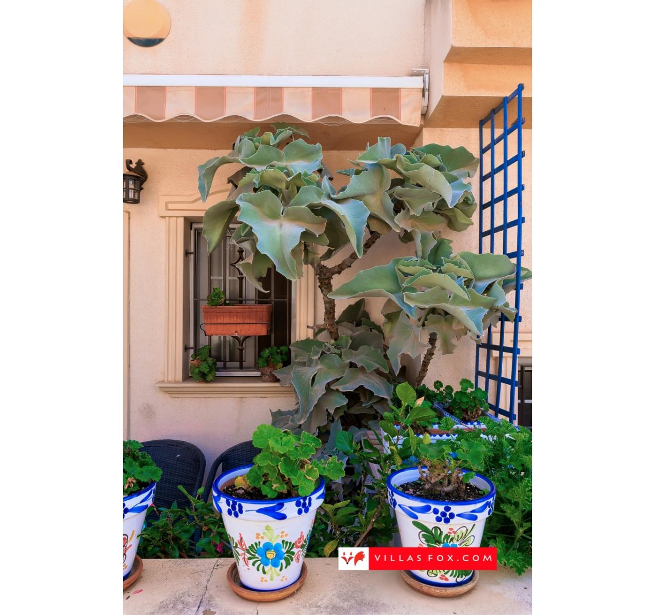 Casa en Venta en San Miguel de Salinas