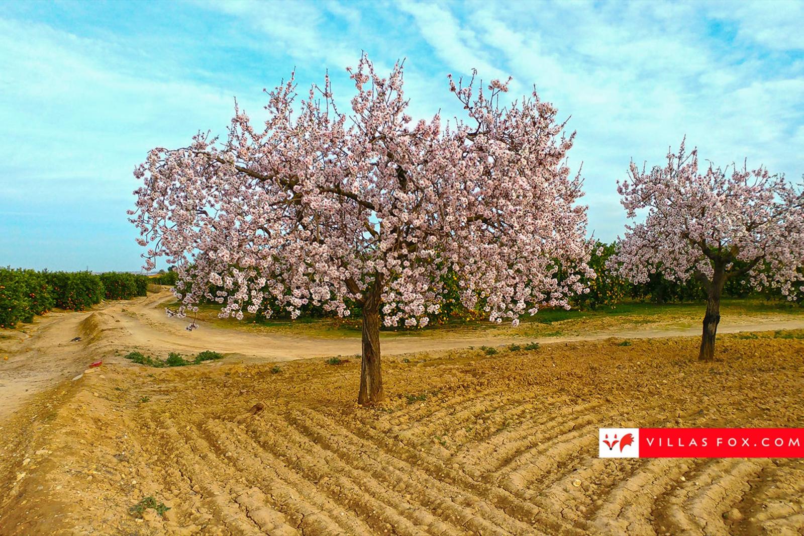 Apartamento en Venta en San Miguel de Salinas