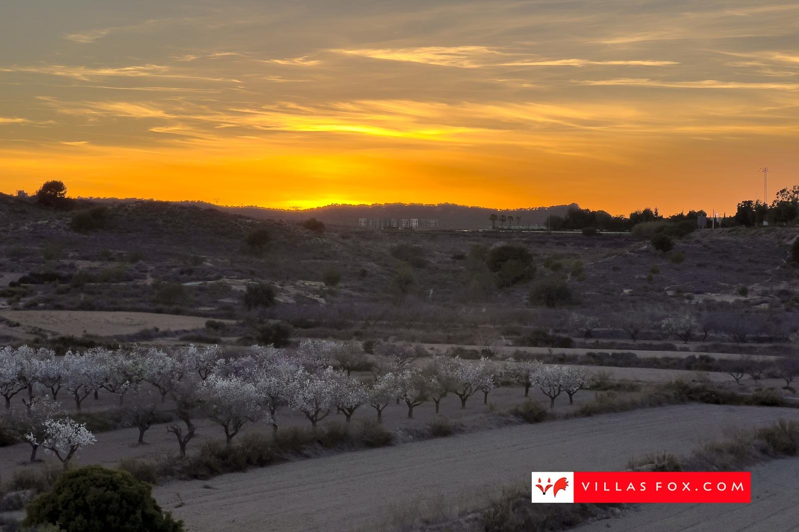 Apartamento en Venta en San Miguel de Salinas