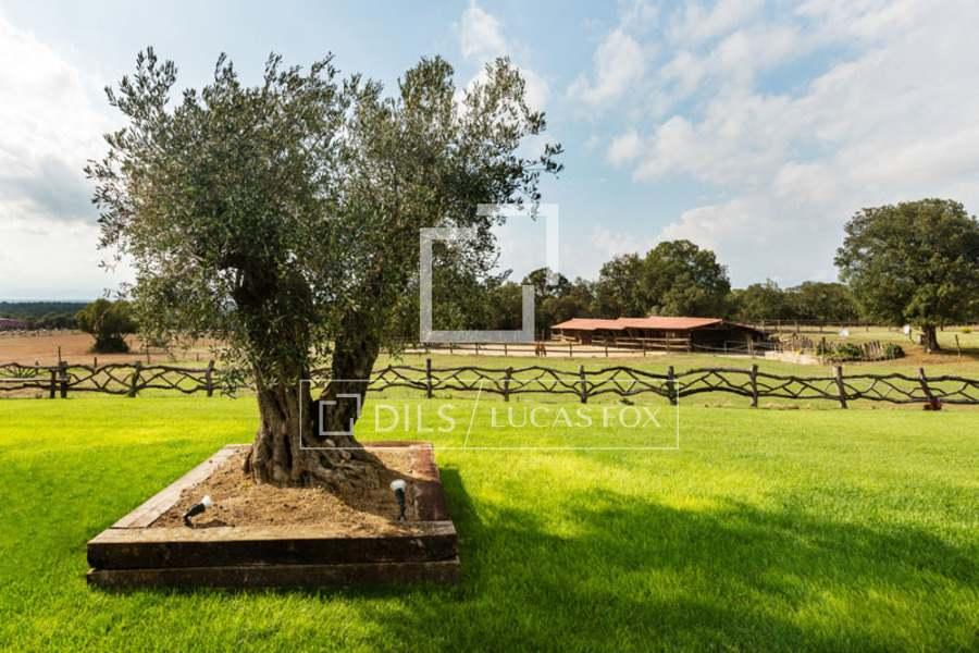 House for Sale in Cassà de la Selva