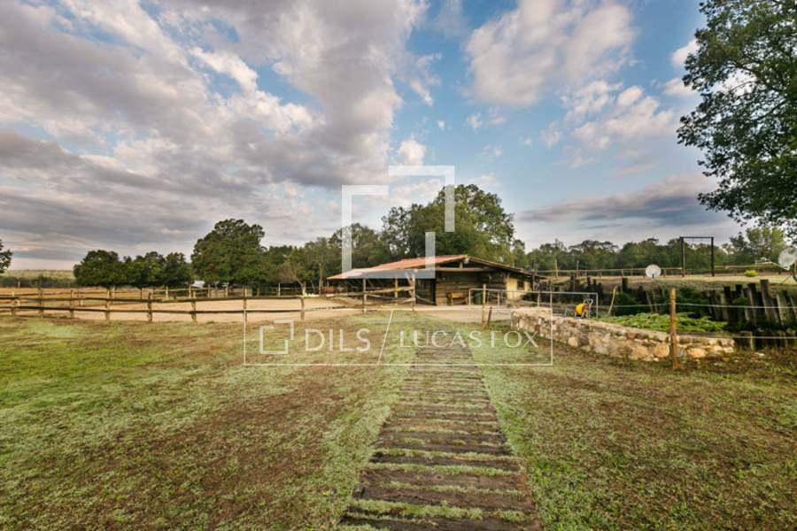 House for Sale in Cassà de la Selva