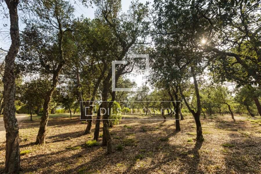 House for Sale in Cassà de la Selva