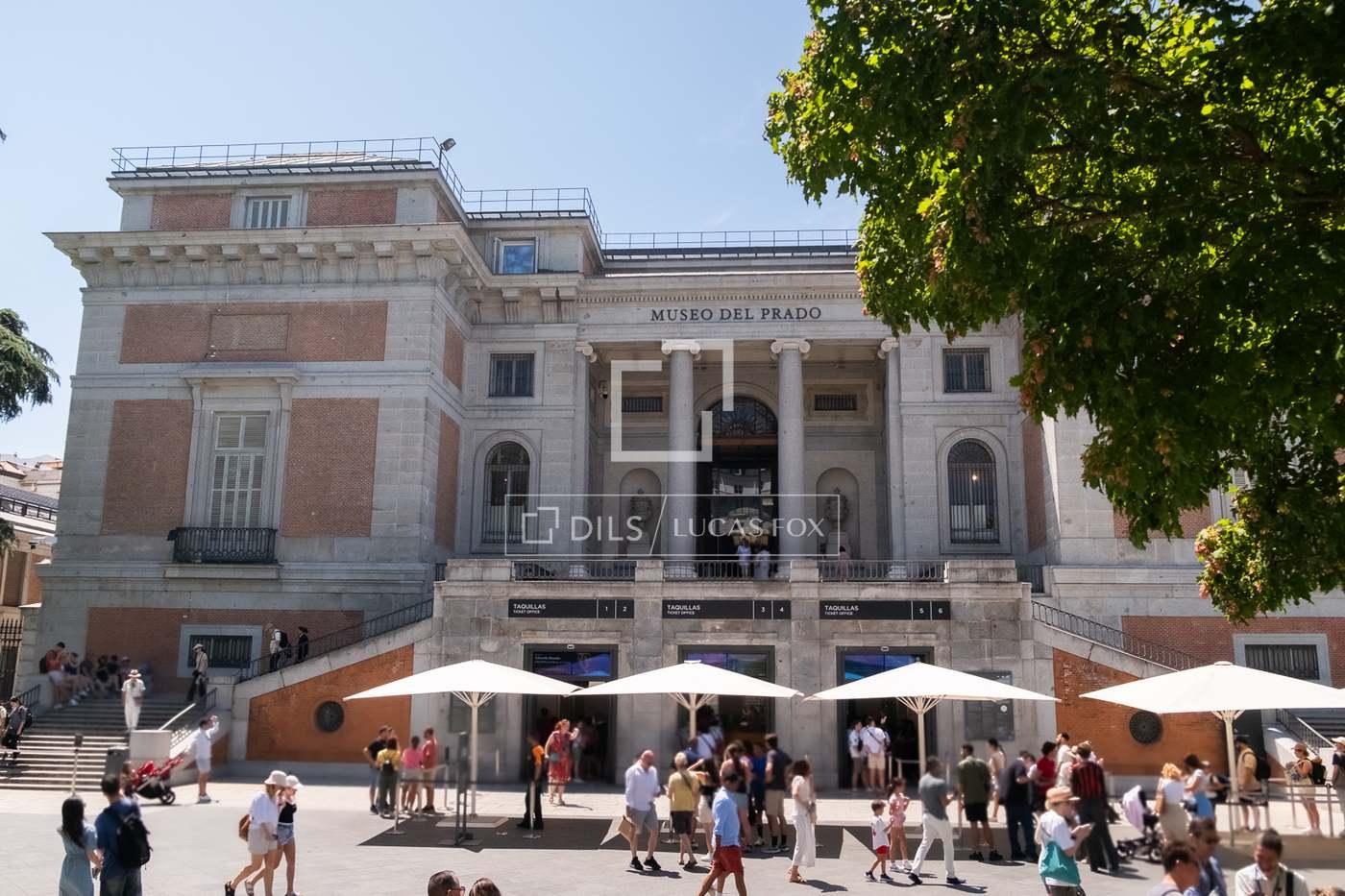 Apartment for Rent in Madrid