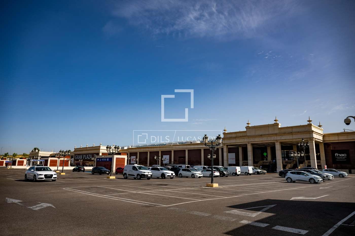 House for Rent in Majadahonda