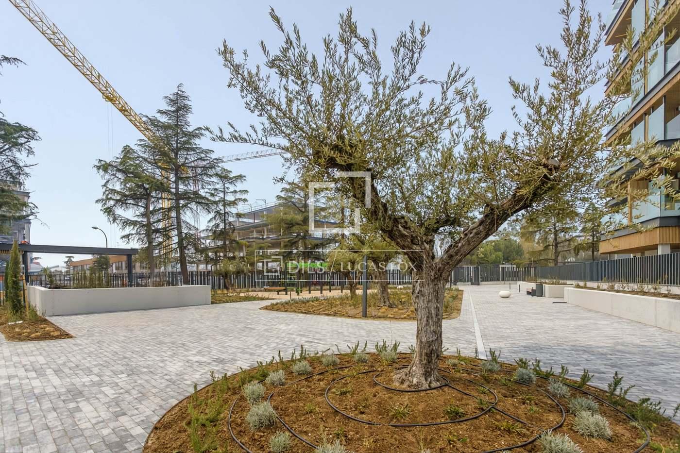 Apartment for Rent in Madrid