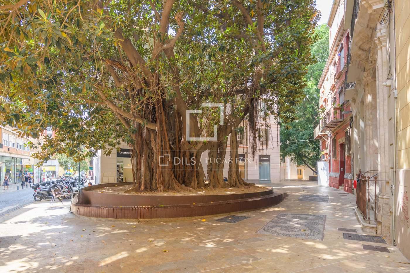 Apartment for Sale in Málaga