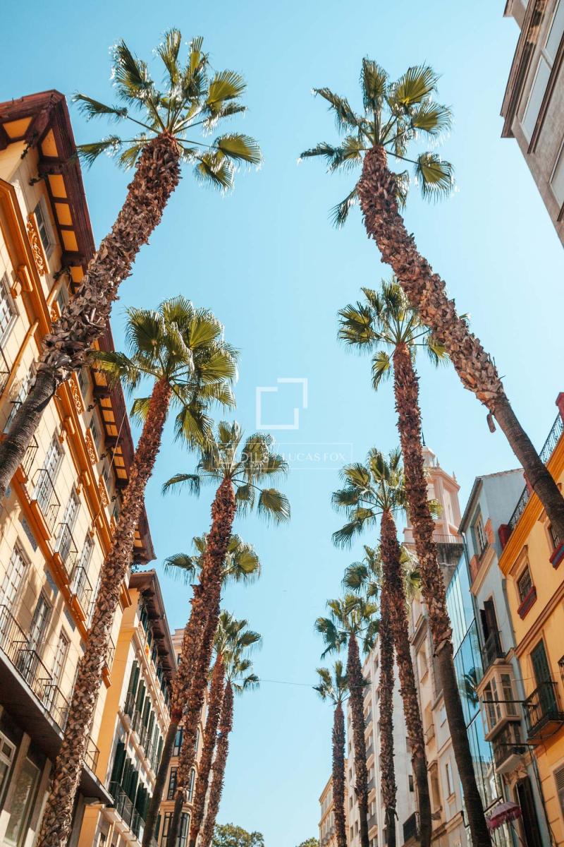 Apartment for Sale in Málaga