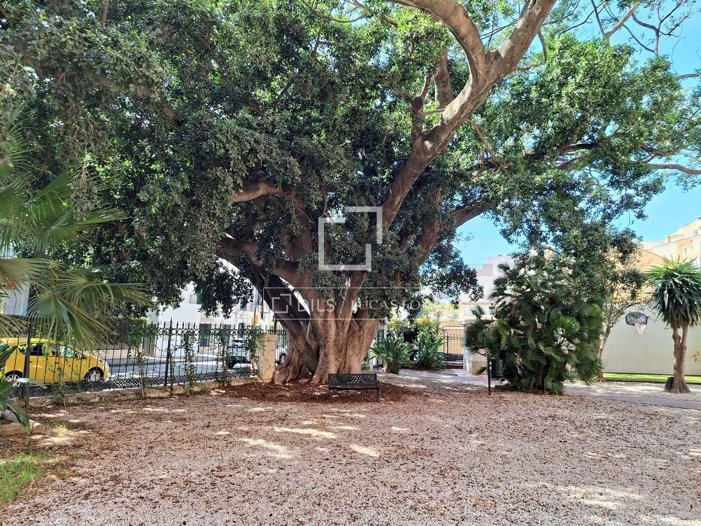 Apartamento en Alquiler en Málaga