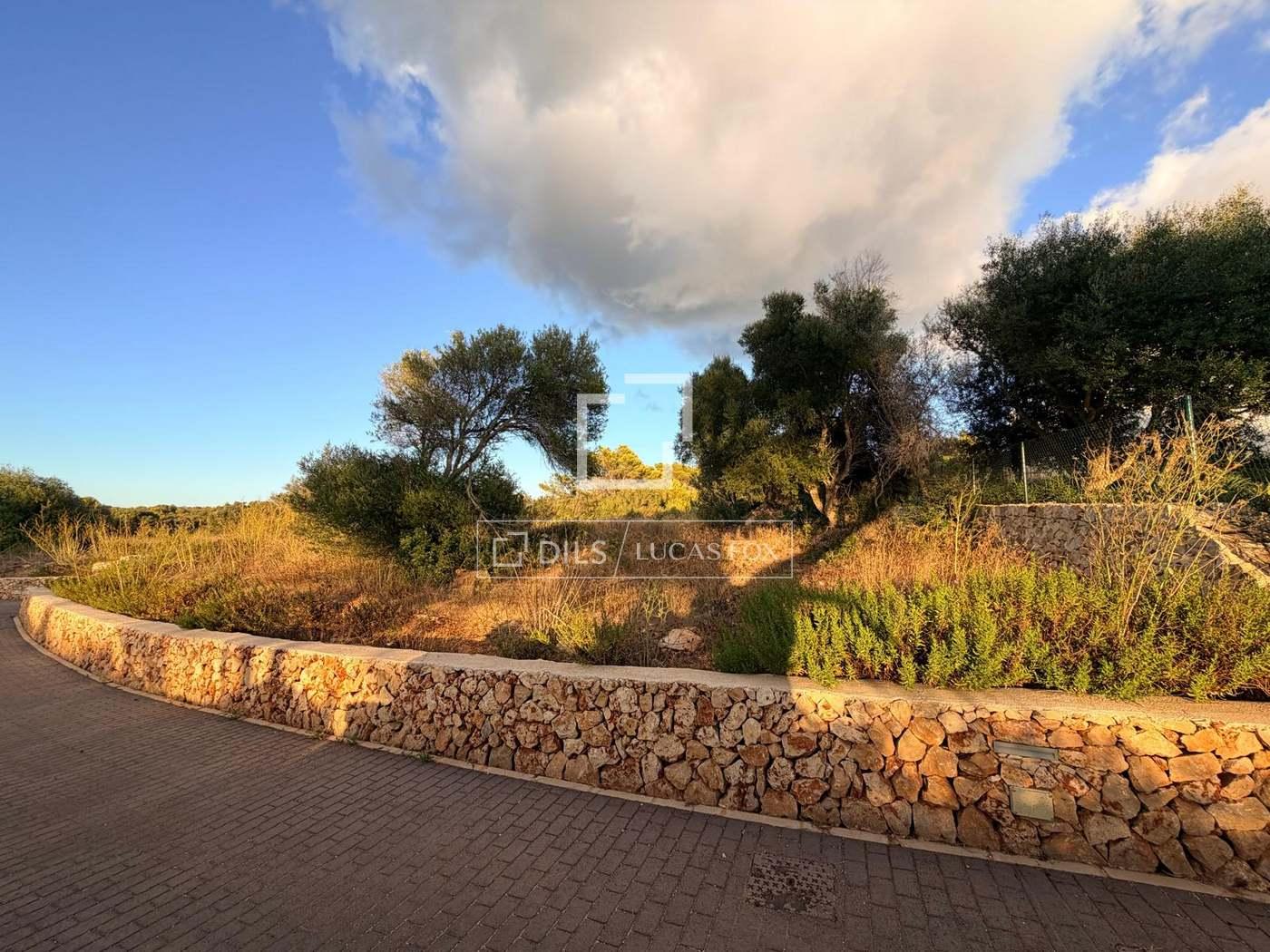 Plot for Sale in Es Migjorn Gran