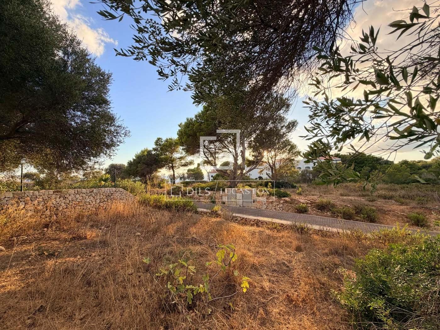 Plot for Sale in Es Migjorn Gran
