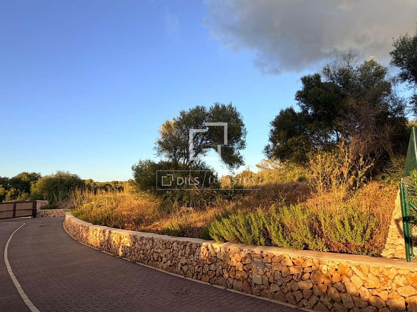 Plot for Sale in Es Migjorn Gran
