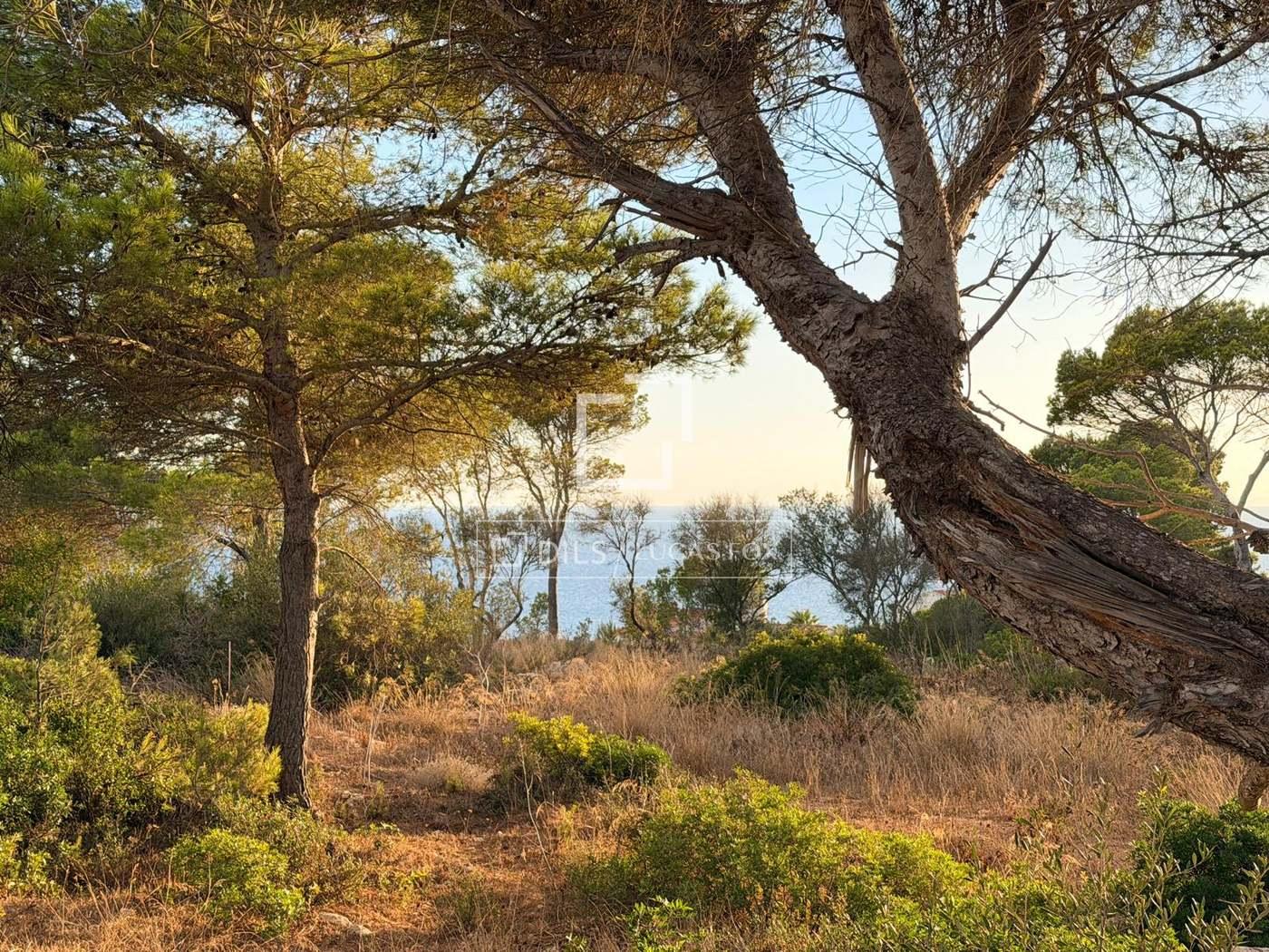 Plot for Sale in Es Migjorn Gran