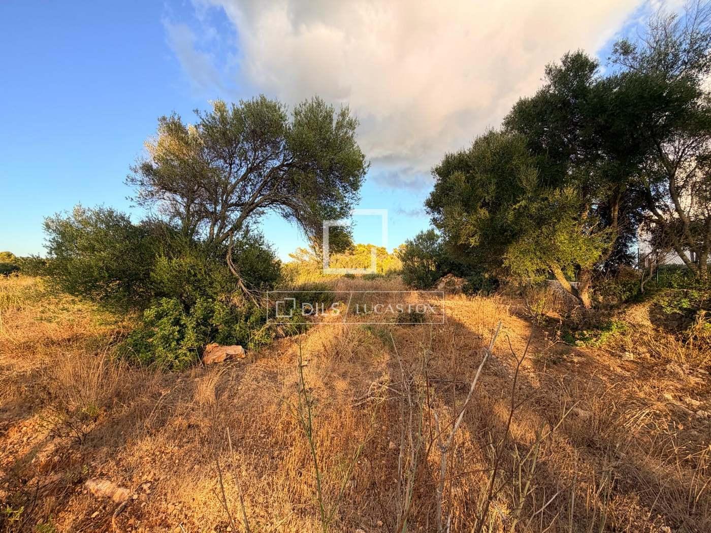 Plot for Sale in Es Migjorn Gran