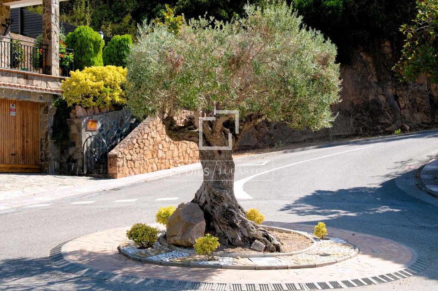 Casa en Venta en Santa Cristina d'Aro