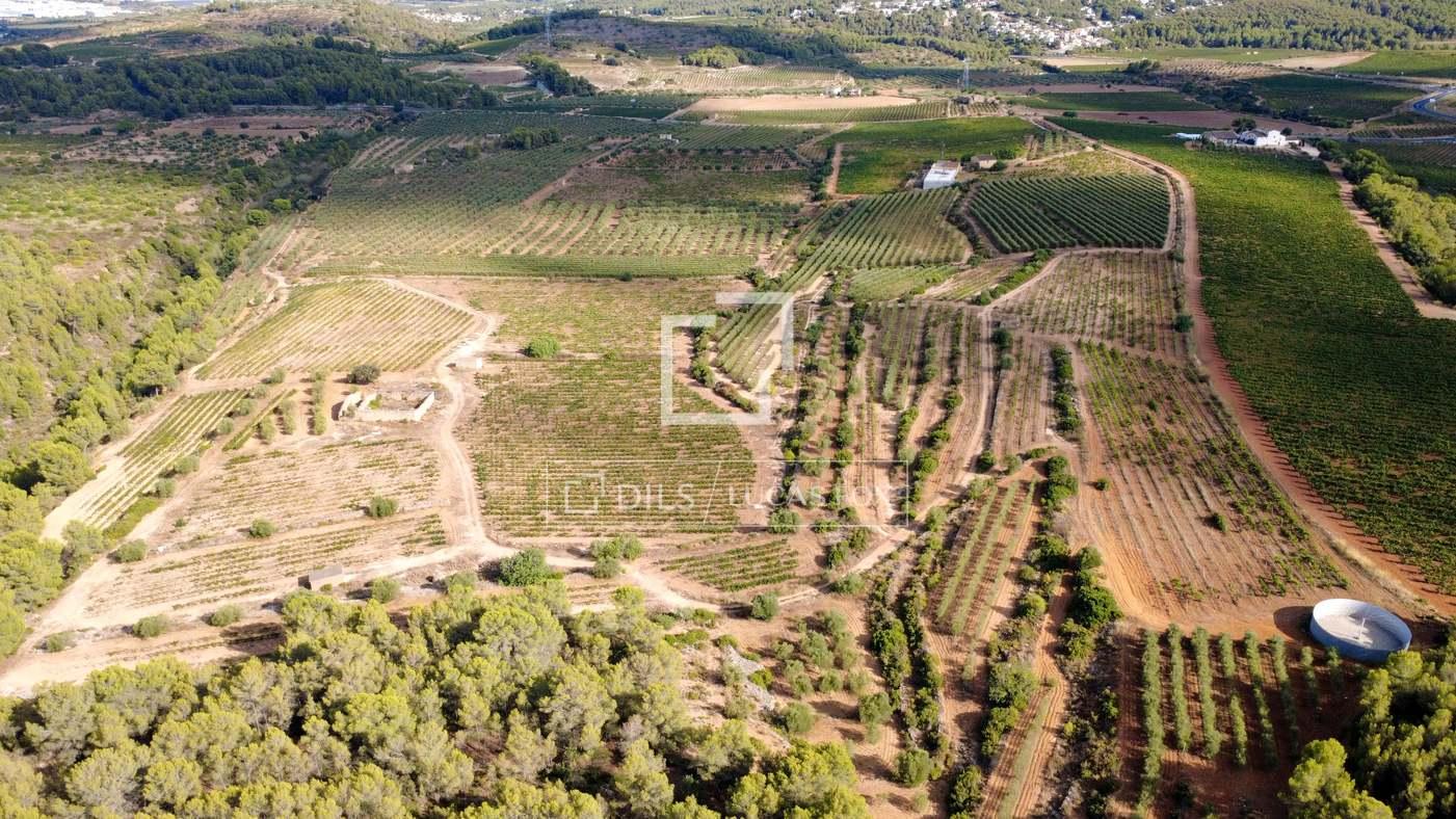 House for Sale in La Bisbal del Penedès