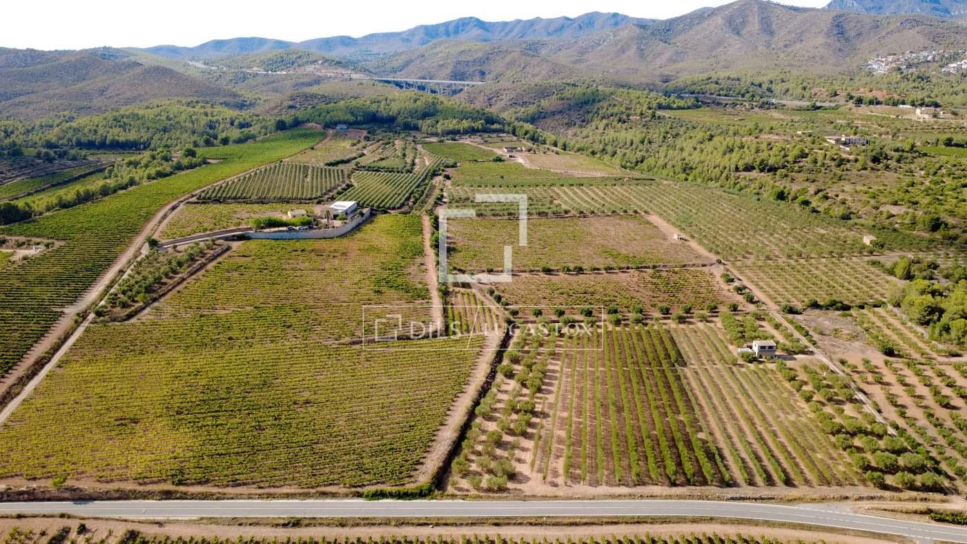 House for Sale in La Bisbal del Penedès
