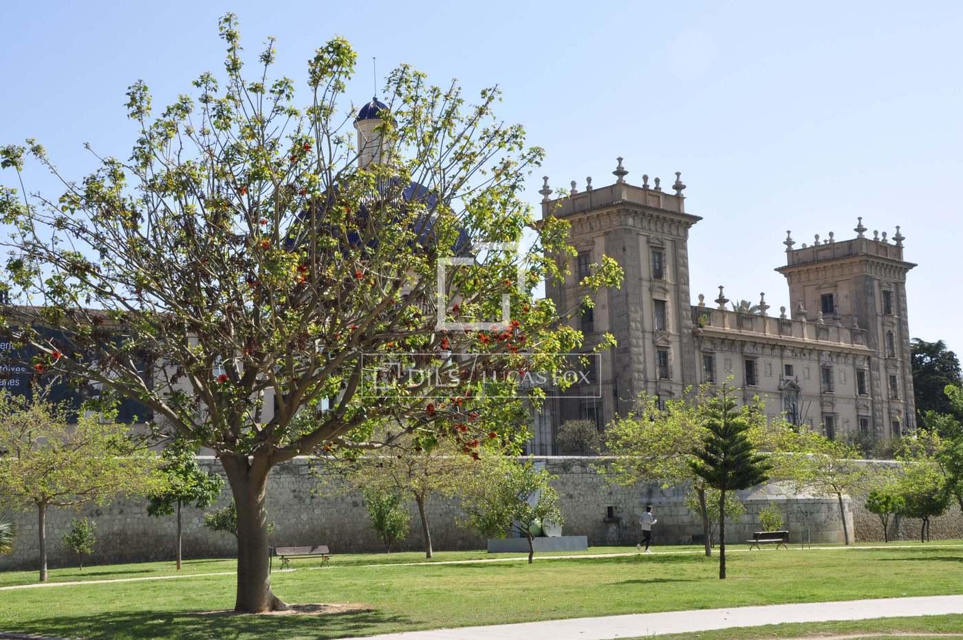 Apartment for Sale in Valencia