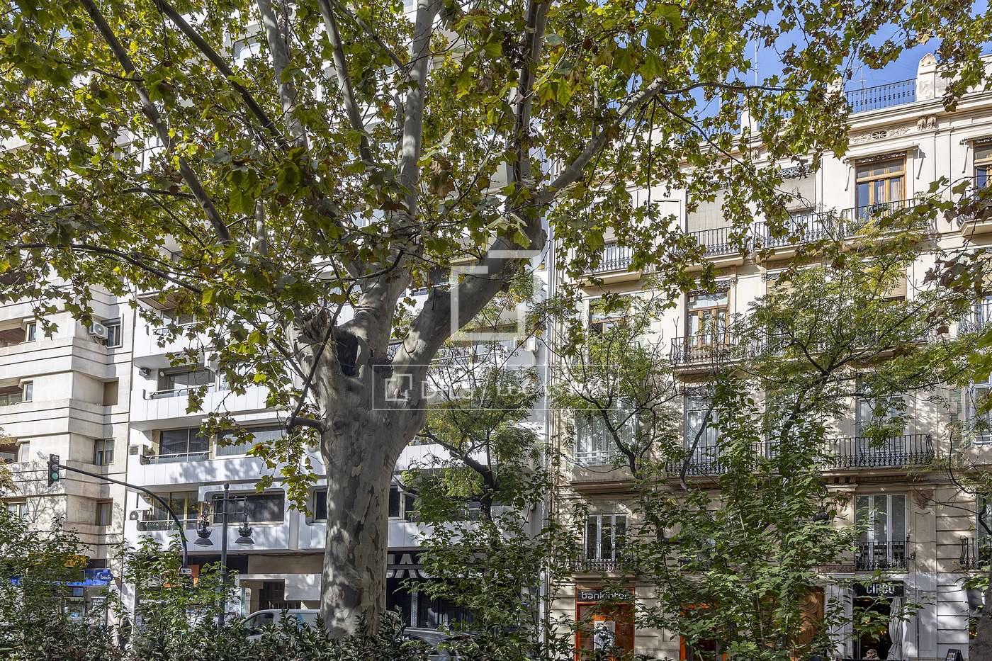 Apartment for Sale in Valencia