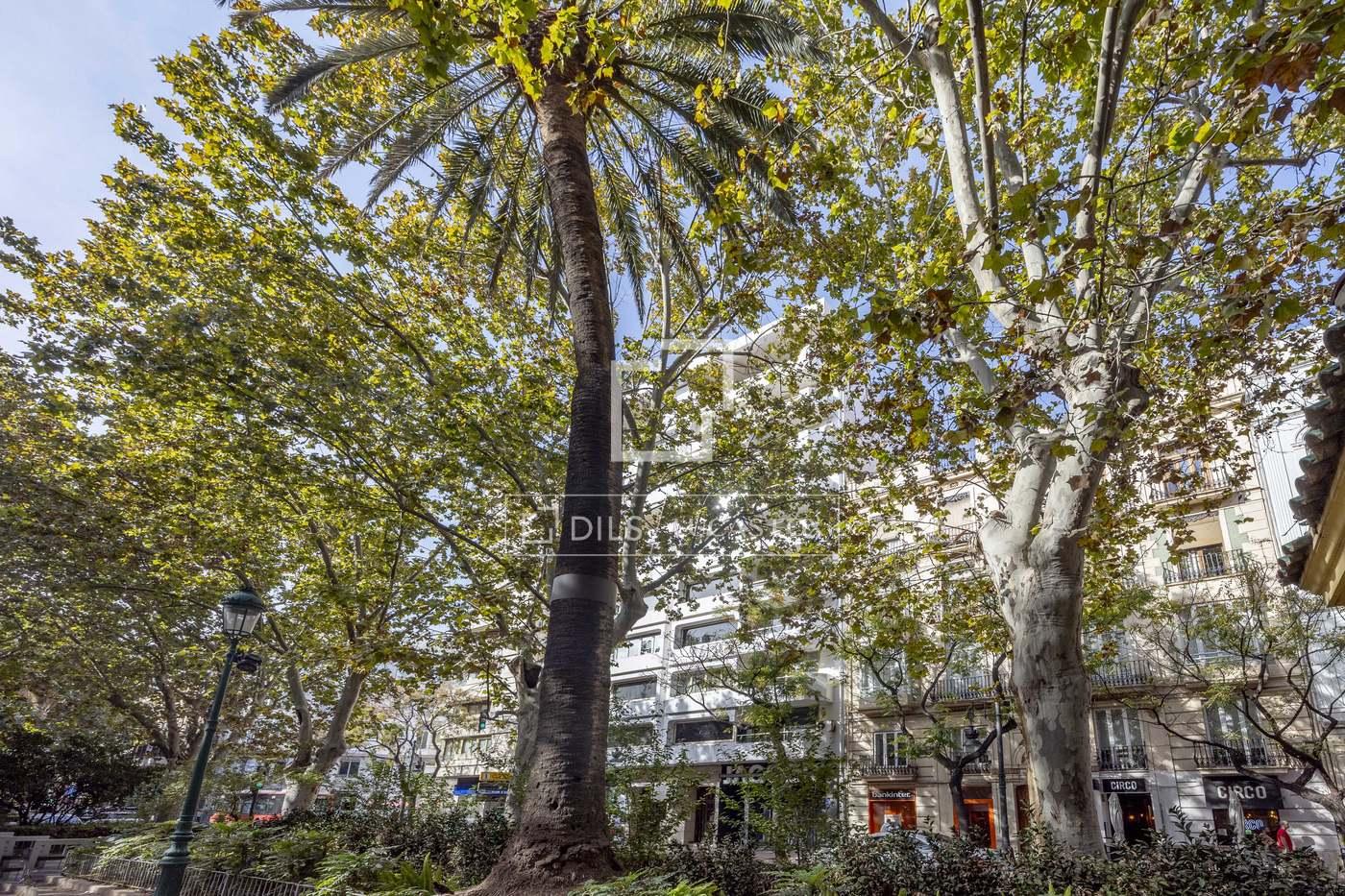 Apartment for Sale in Valencia