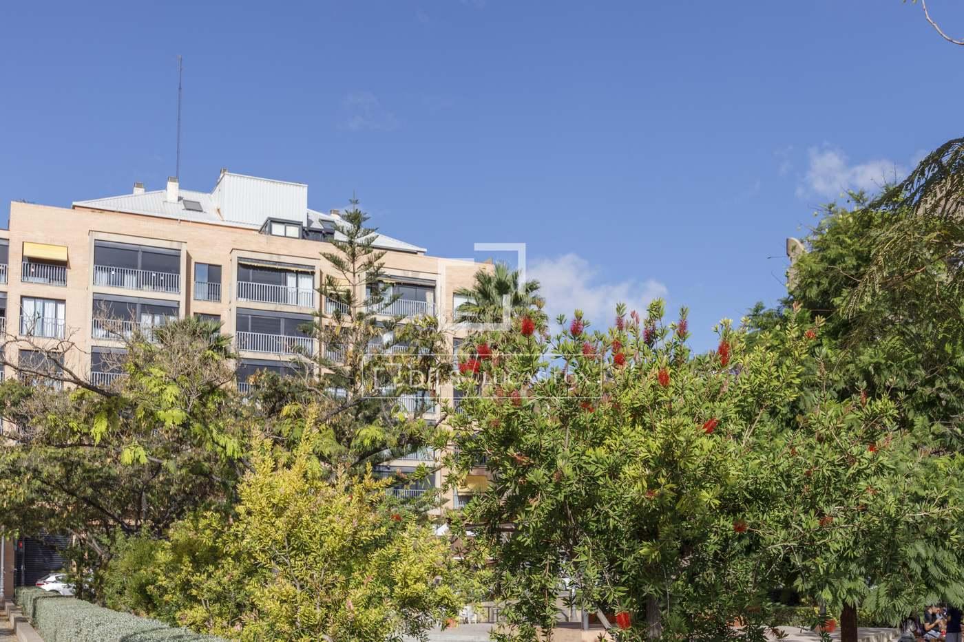 Apartment for Rent in Valencia