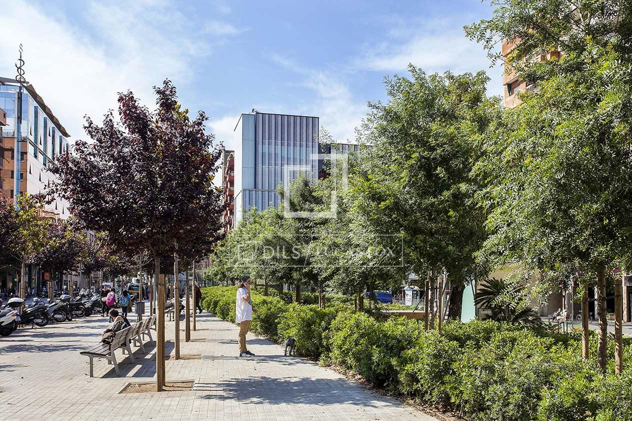 Apartment for Sale in Barcelona
