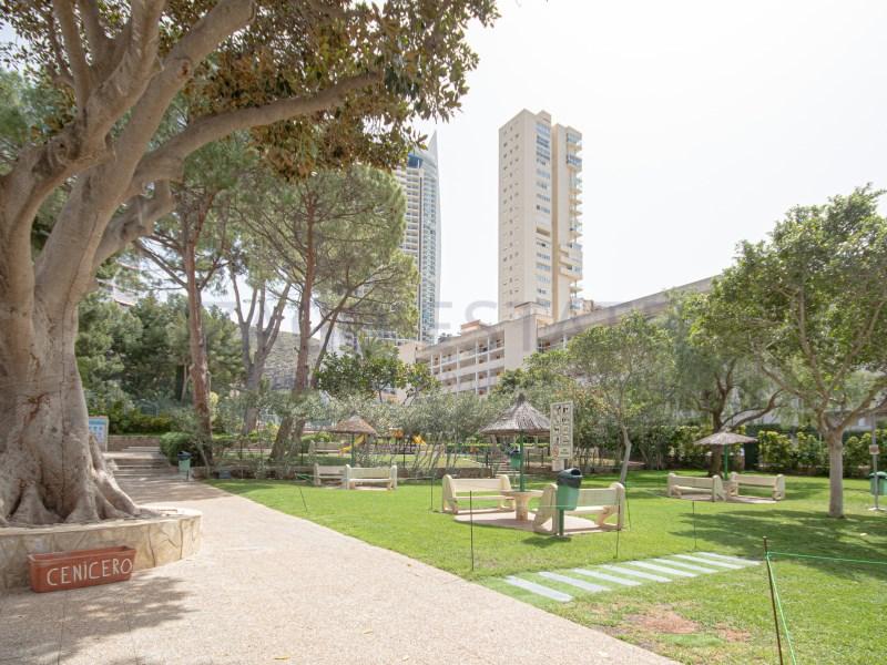 Apartamento en Alquiler en Benidorm
