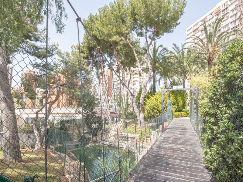 Apartamento en Alquiler en Benidorm