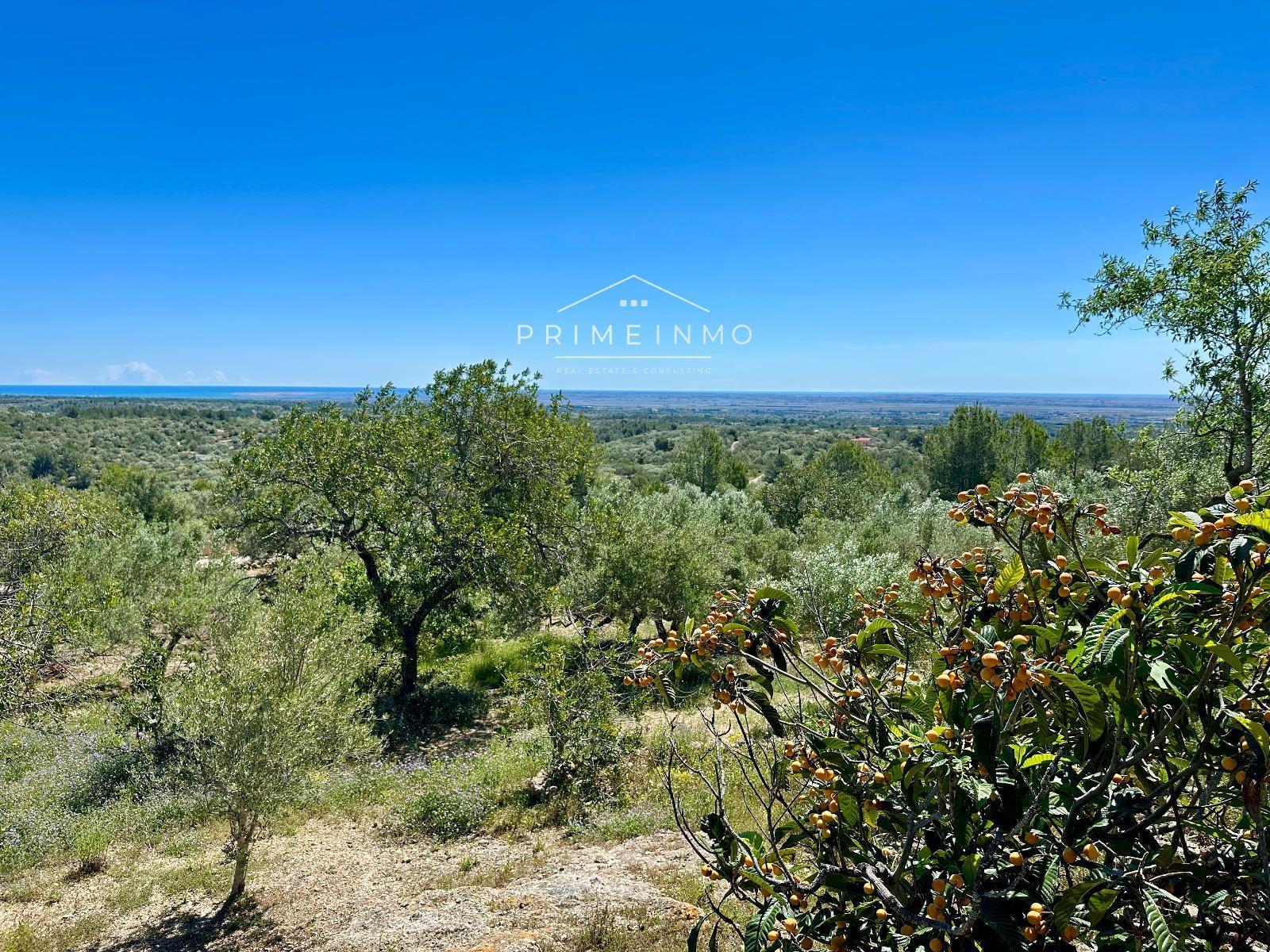 Casa en Venta en Tortosa