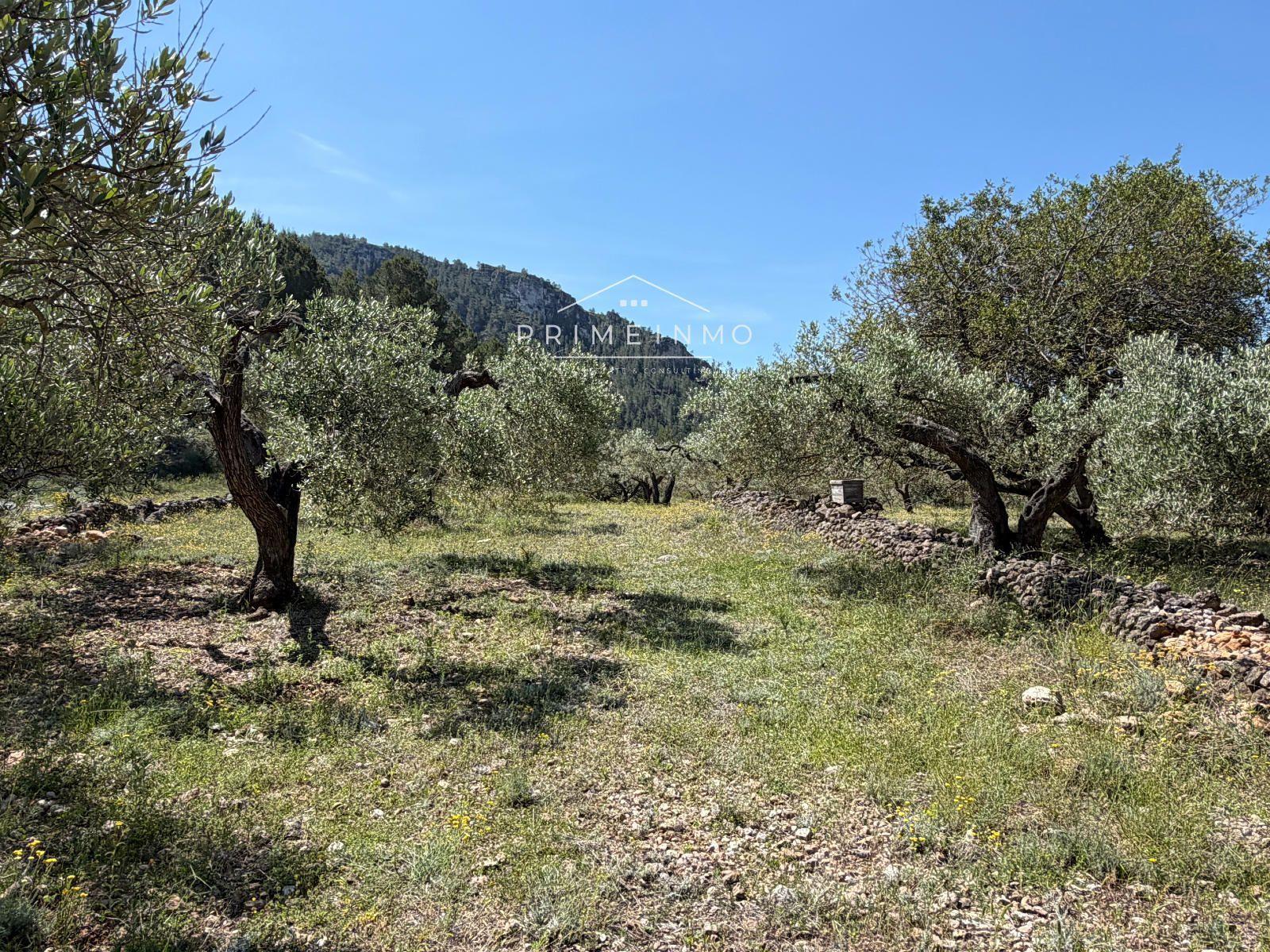 Finca en Venta en L' Ametlla de Mar
