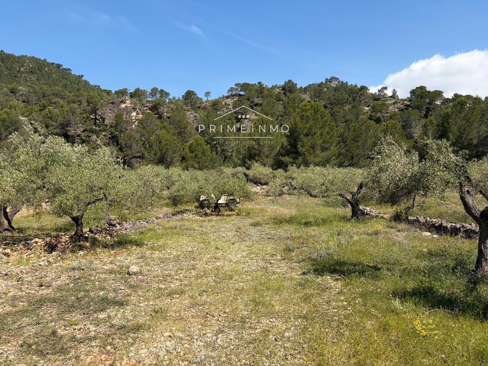 Finca en Venta en L' Ametlla de Mar