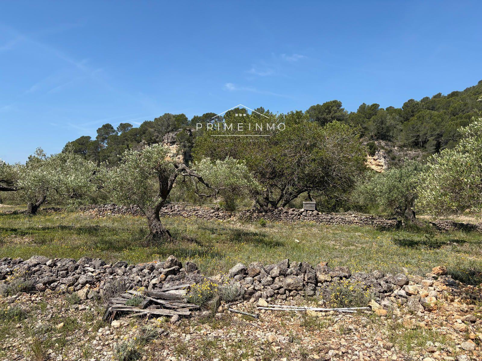 Finca en Venta en L' Ametlla de Mar