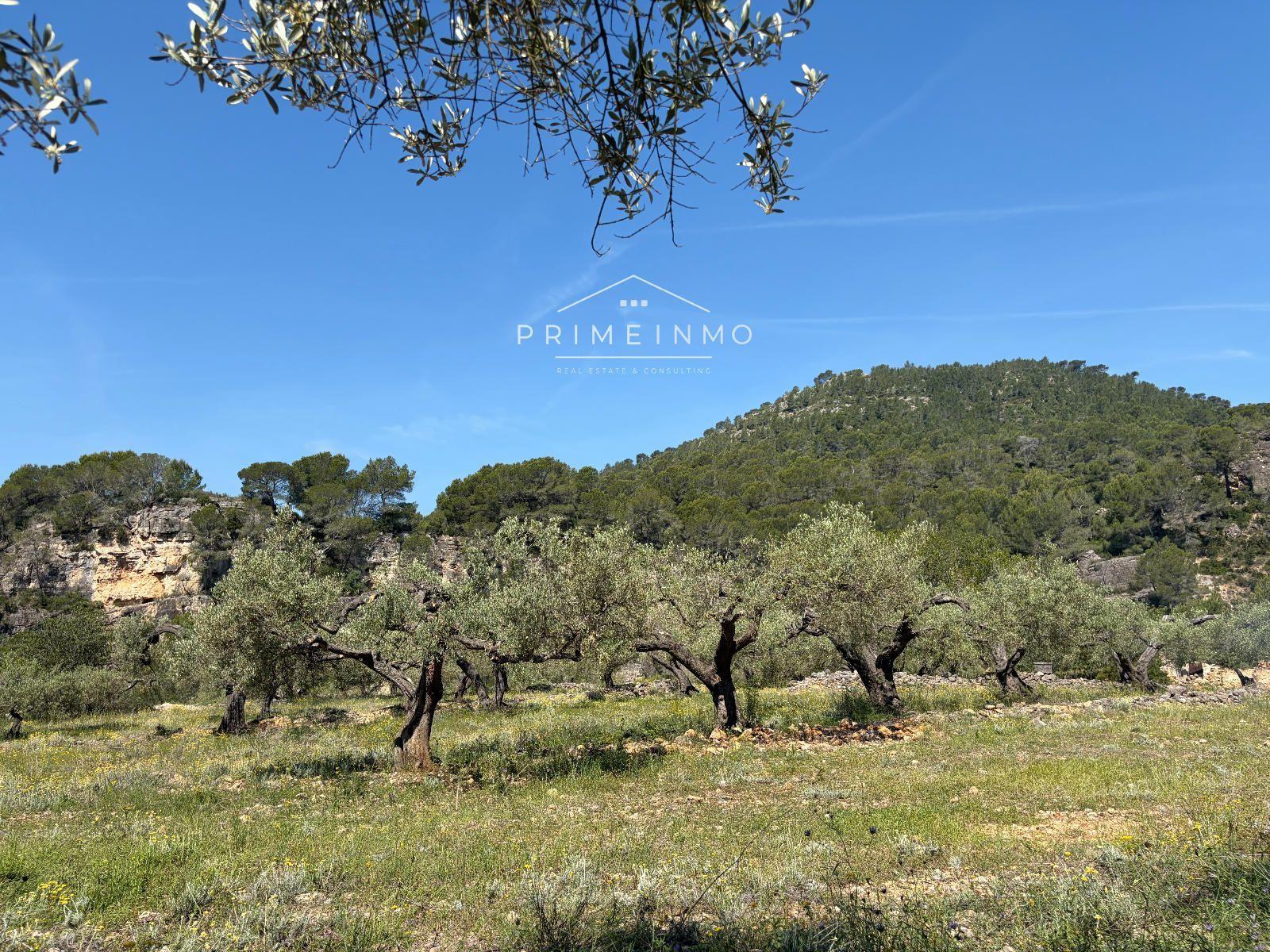 Finca en Venta en L' Ametlla de Mar