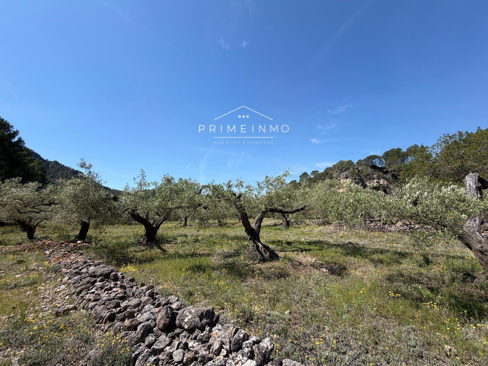 Finca en Venta en L' Ametlla de Mar