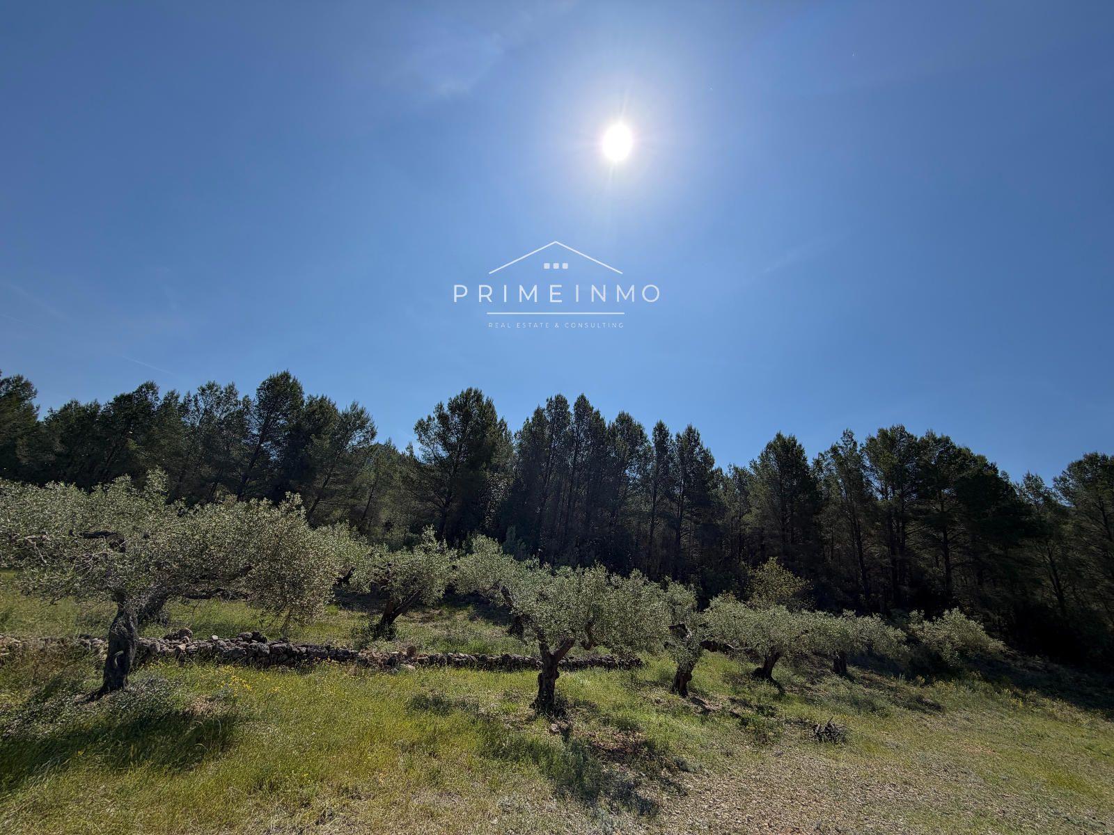 Finca en Venta en L' Ametlla de Mar