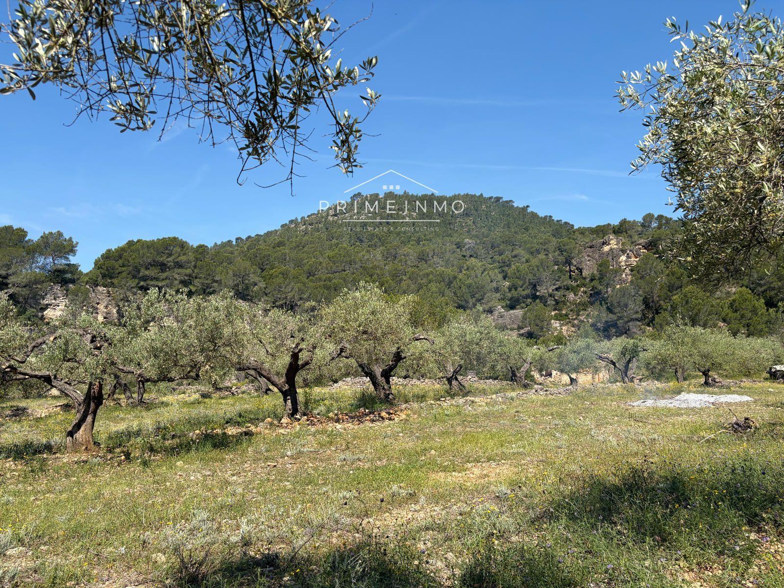 Finca en Venta en L' Ametlla de Mar