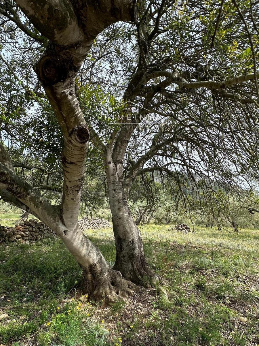 Finca en Venta en L' Ametlla de Mar