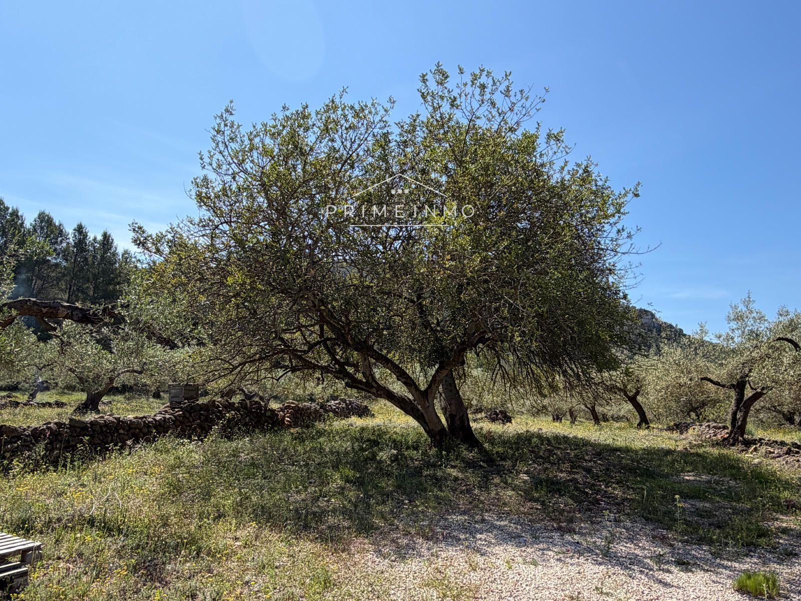 Finca en Venta en L' Ametlla de Mar