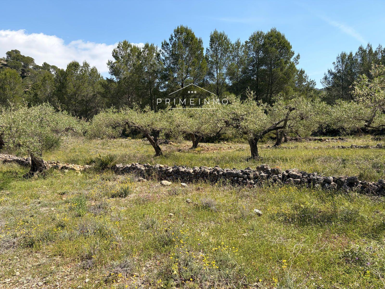 Finca en Venta en L' Ametlla de Mar