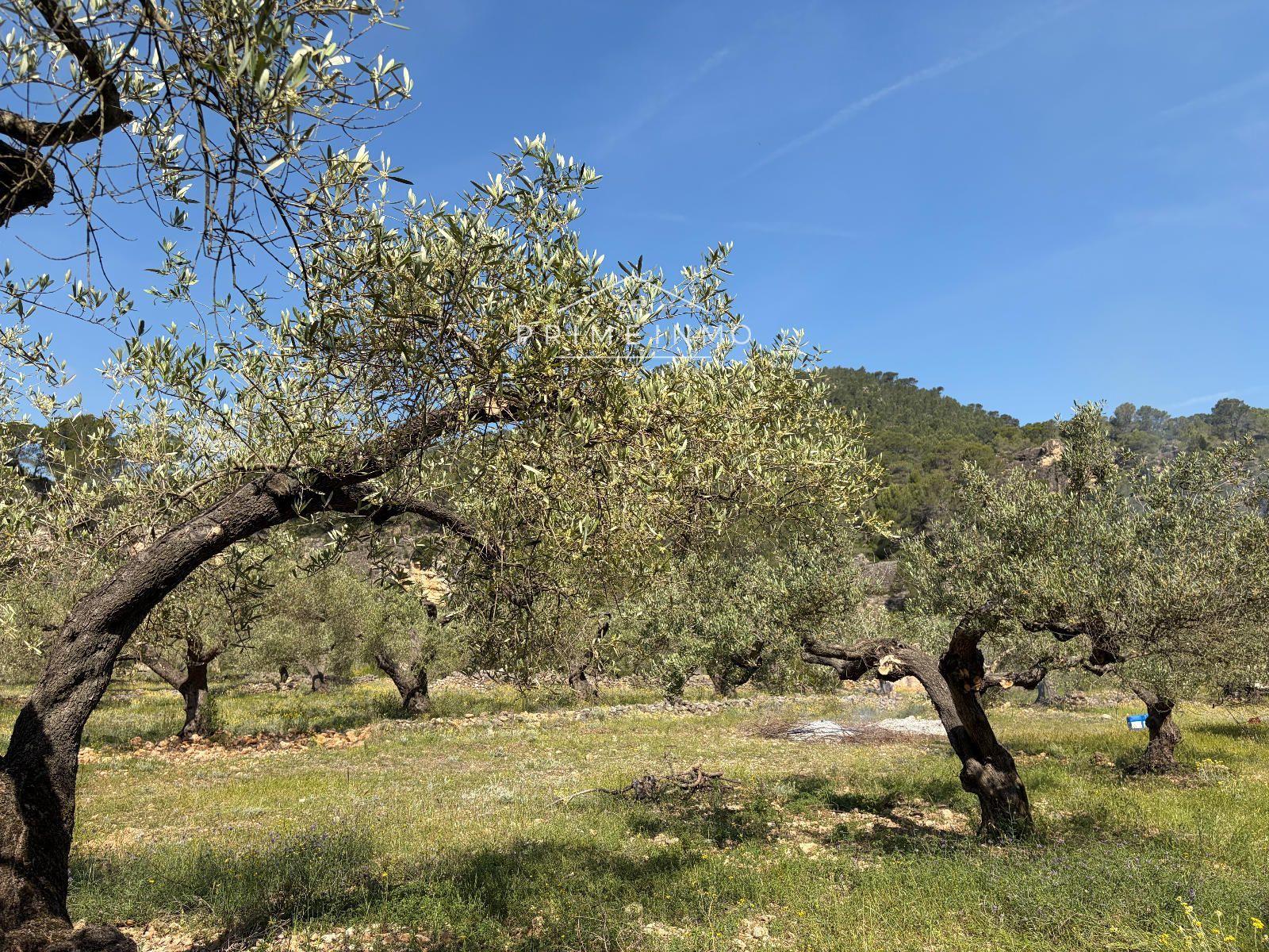 Finca en Venta en L' Ametlla de Mar