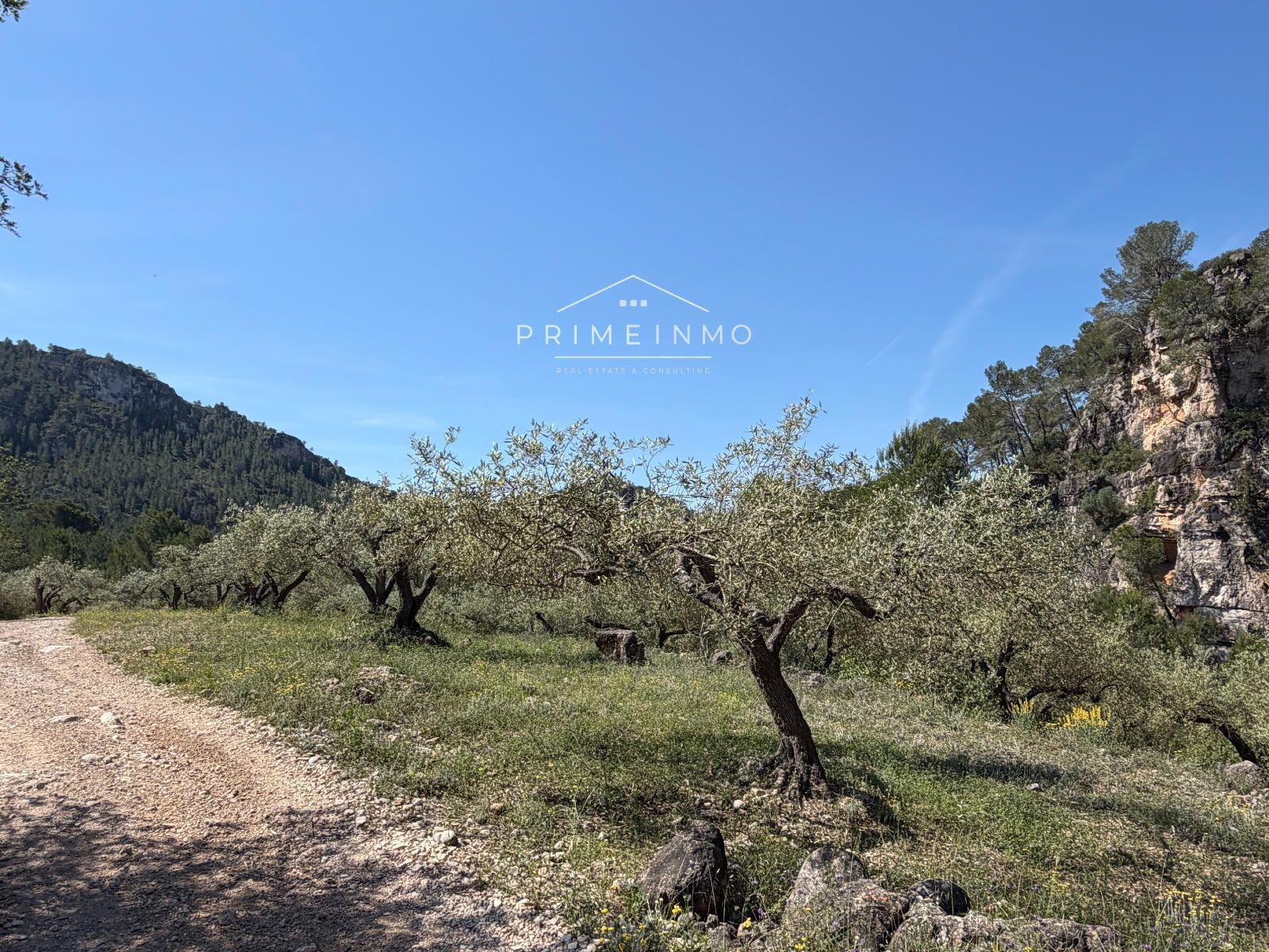 Finca en Venta en L' Ametlla de Mar