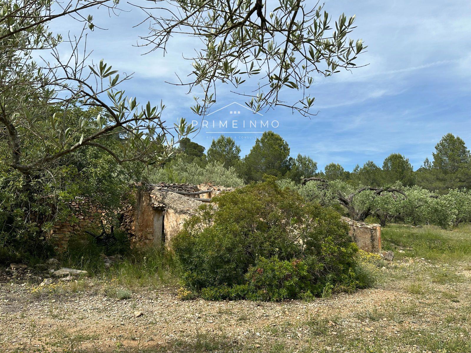 Finca en Venta en L' Ametlla de Mar