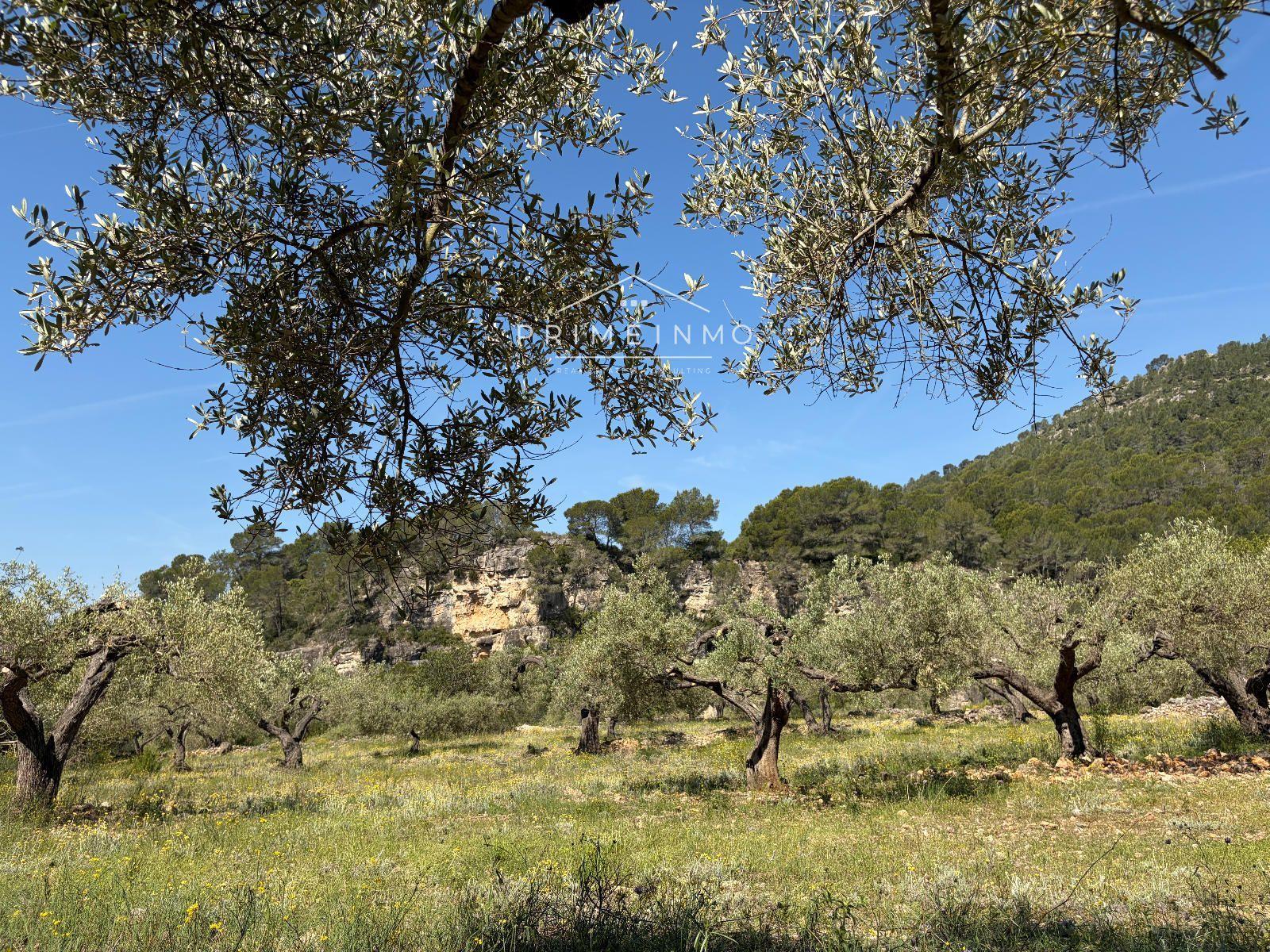 Finca en Venta en L' Ametlla de Mar