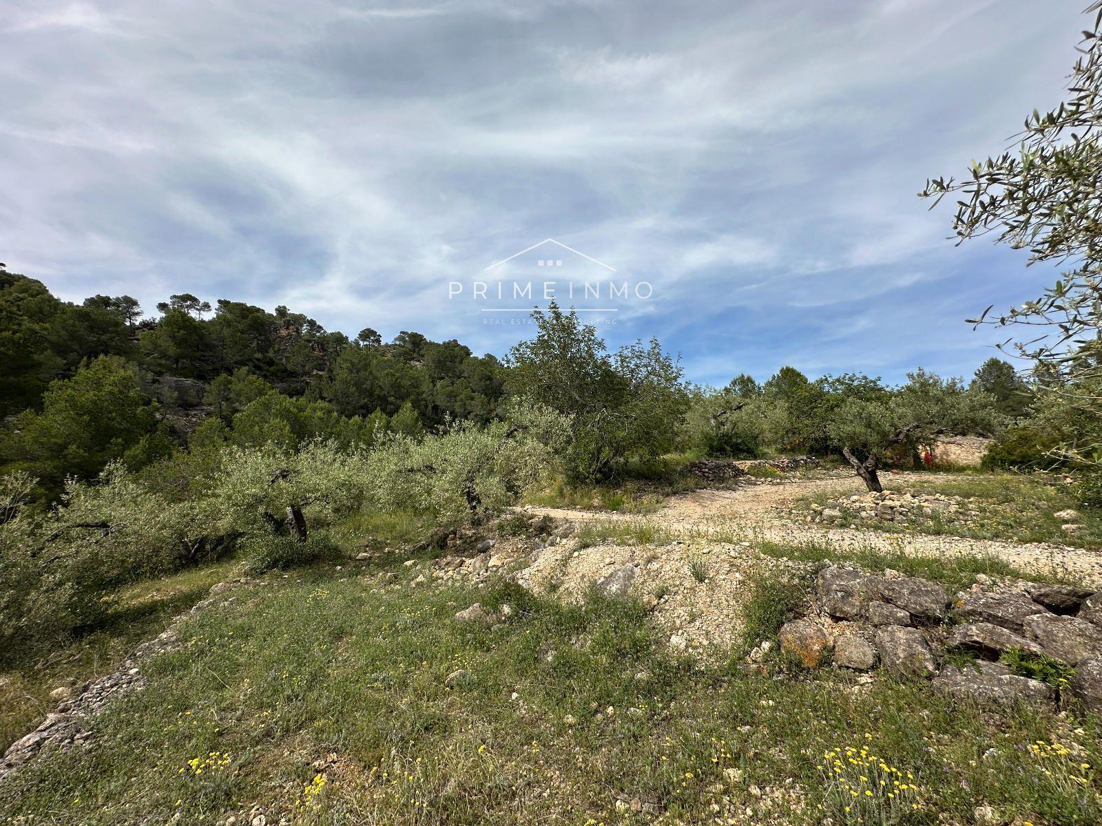 Finca en Venta en L' Ametlla de Mar