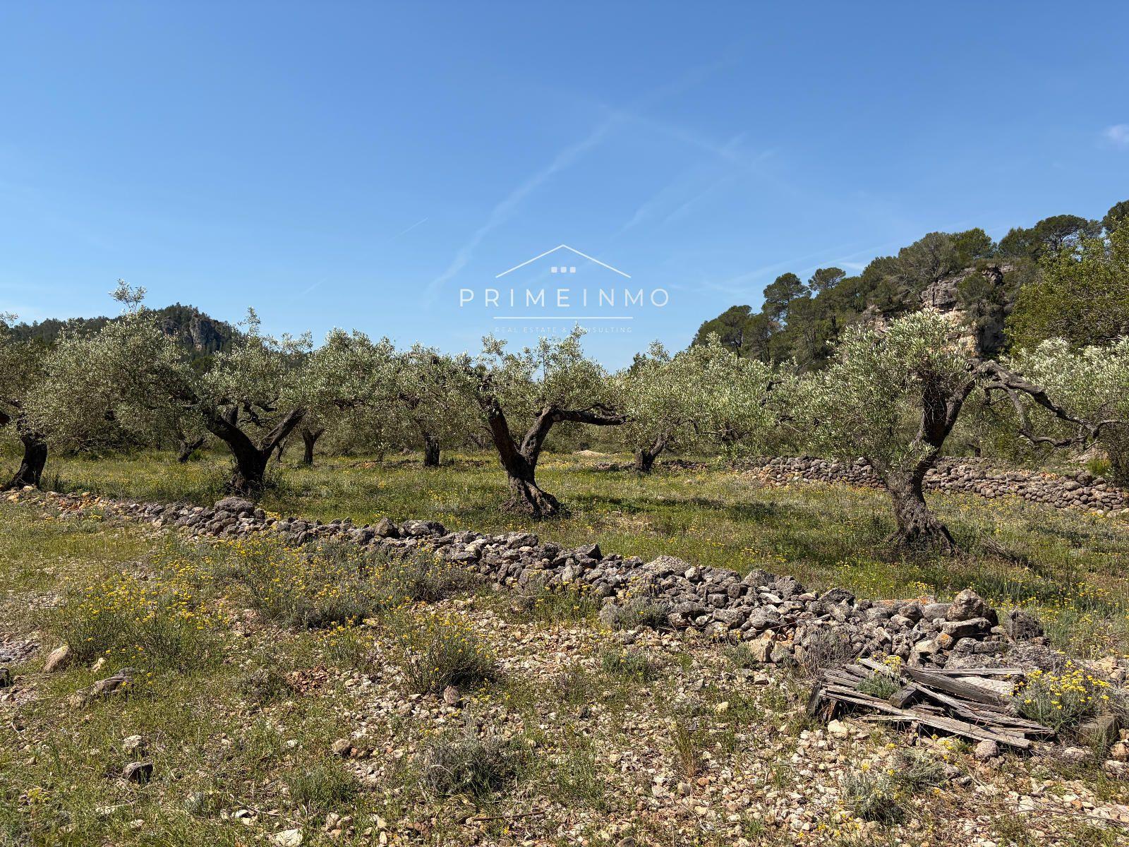 Finca en Venta en L' Ametlla de Mar