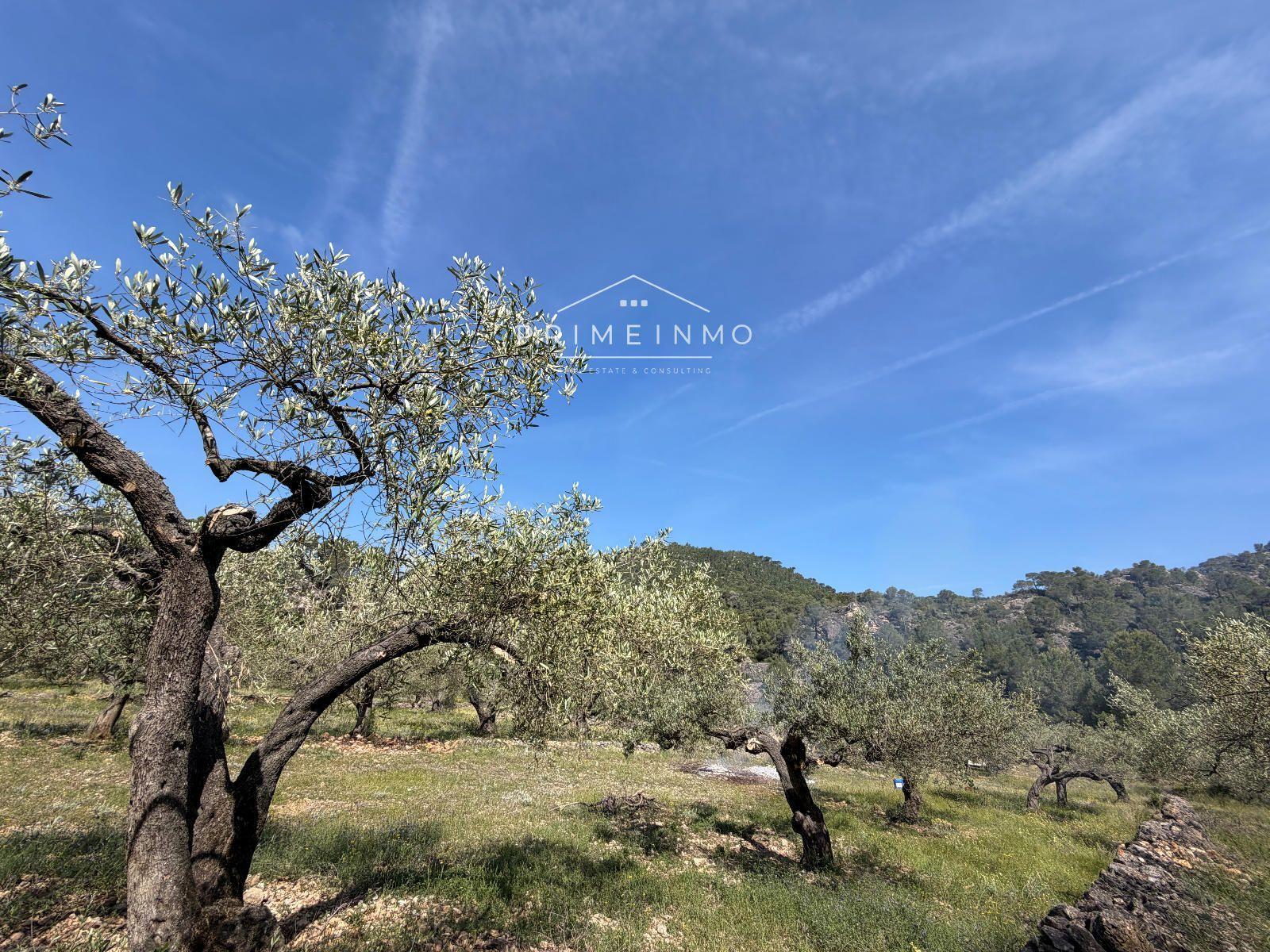 Finca en Venta en L' Ametlla de Mar