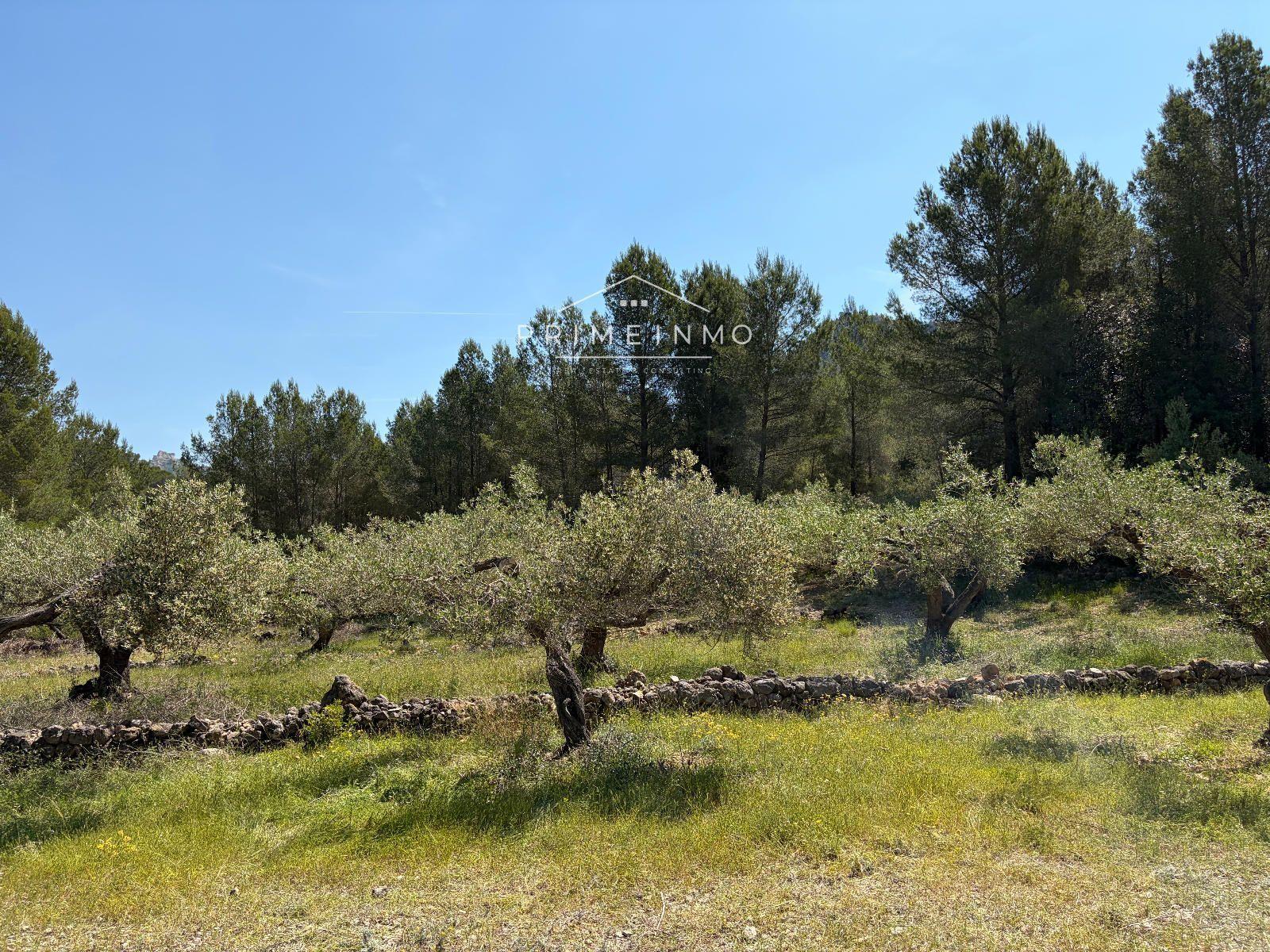 Finca en Venta en L' Ametlla de Mar