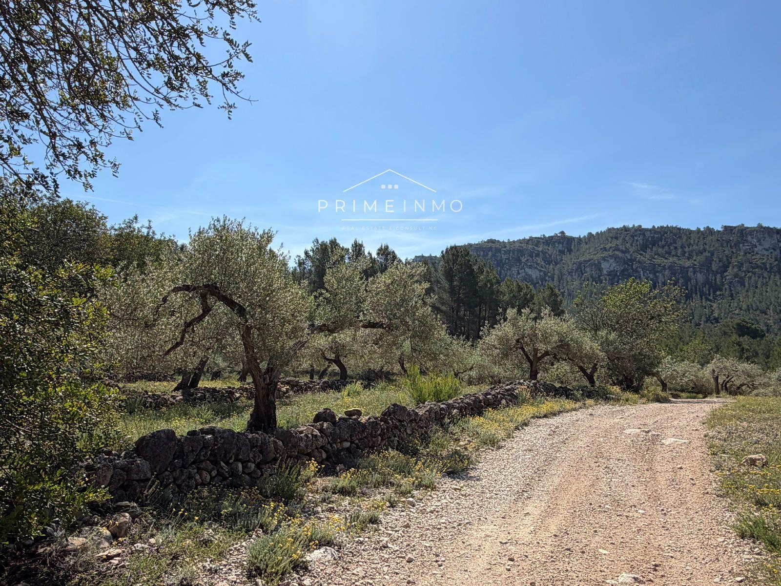 Finca en Venta en L' Ametlla de Mar