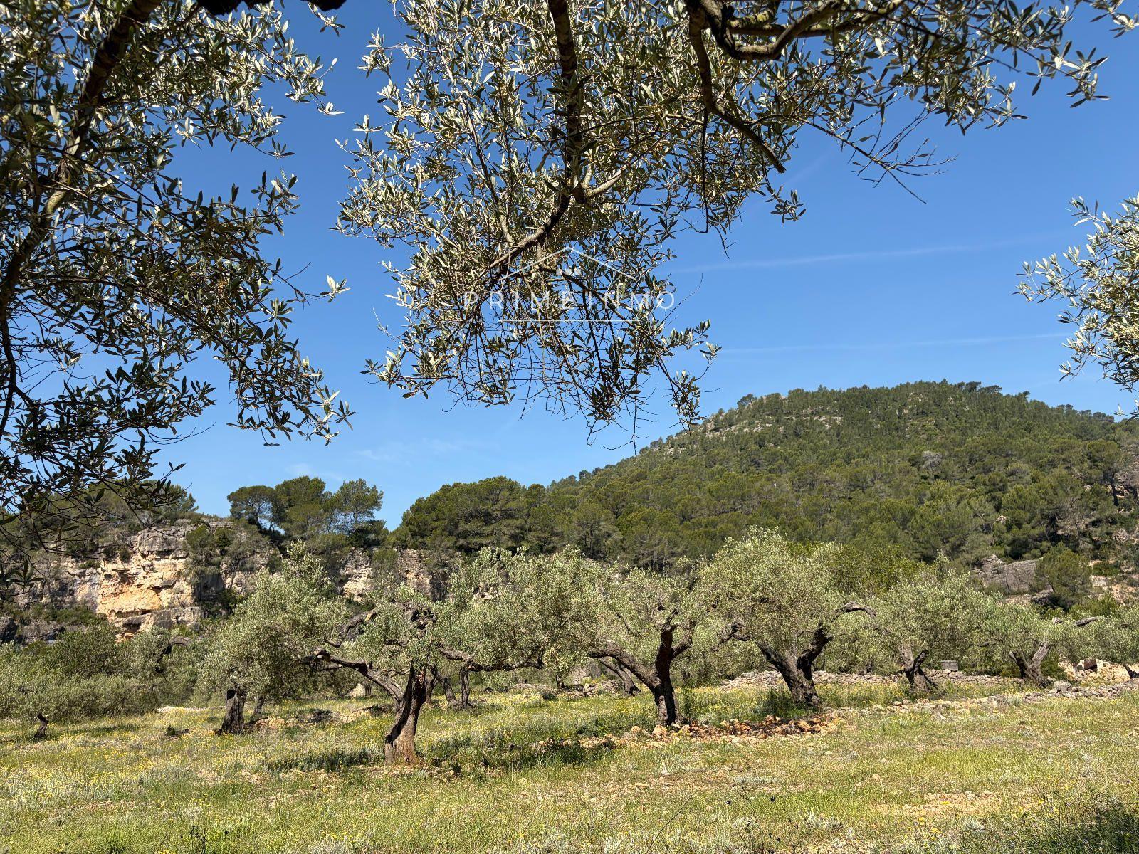 Finca en Venta en L' Ametlla de Mar