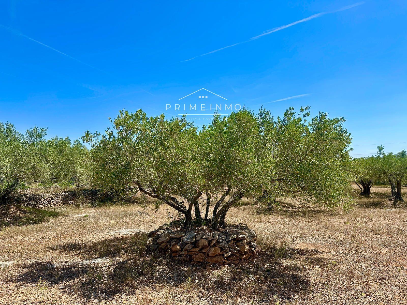Casa en Venta en L' Ampolla